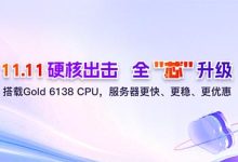 #11.11#华纳云服务器买1年享14个月,年付3折起,入门款仅17元/月-资源部落